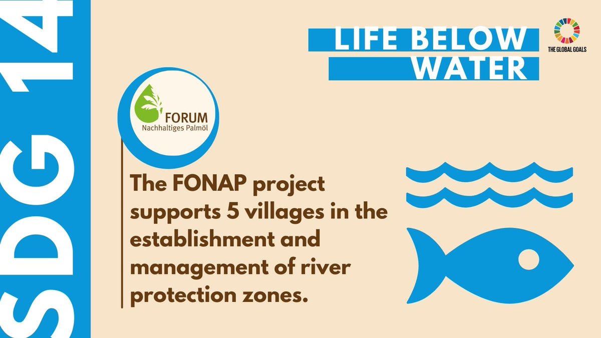 Today's focus: #SDG14: Life Below Water.💧🐟

#FONAP actively engages in expanding the protection of the Pengabuan River in #Indonesia. Through river restoration, we contribute to strengthening the resilience of aquatic ecosystems – benefiting both nature and local communities.