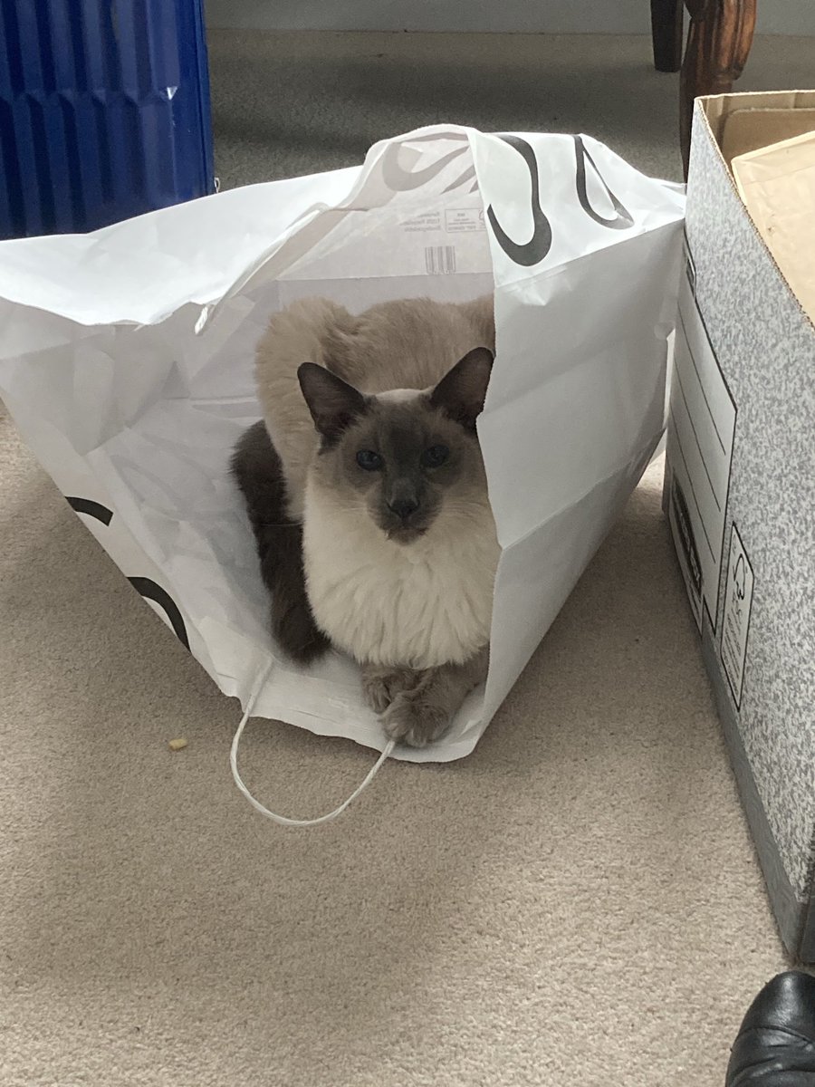 Never miss a chance to check out a shopping bag.