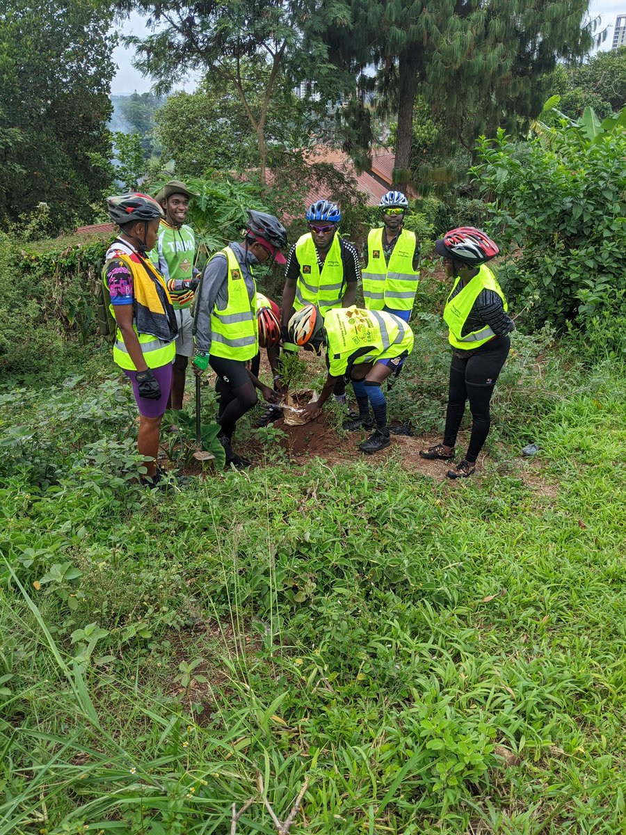 As we celebrate #InternationalTreeday today, I want to implore all of us to be custodian of the forests, because most of our environmental and climate problems revolves around us destroying the nature. Act now let’s bring an end to this heat wave. 

#Savetheenviroment