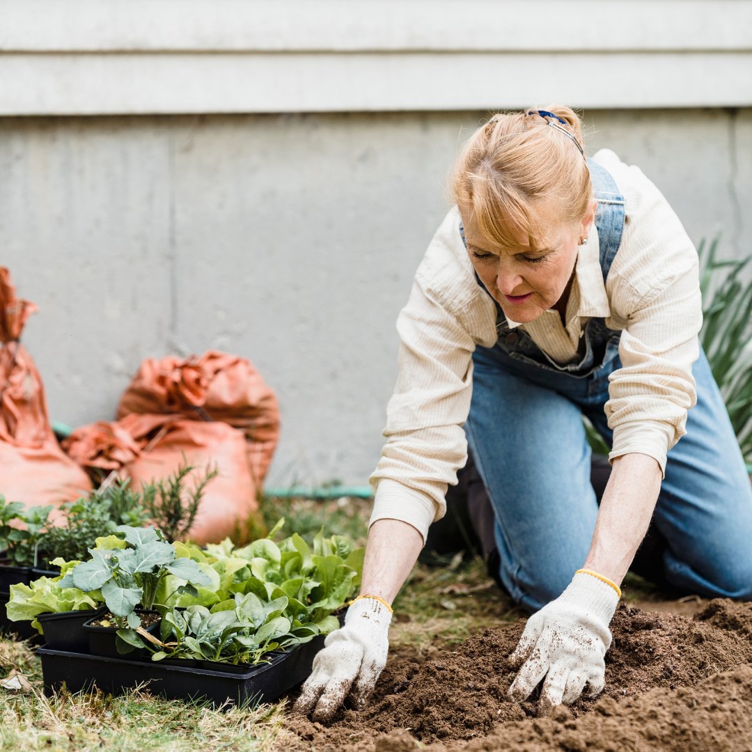 TopsoilDirect's tweet image. Transform your garden with Garden Topsoil Direct! Use code Topsoil10 for 10% off topsoil! Also, get 15% off green roof substrates, turf dressings, and compost with code MARCH24GARDENING. Hurry, offer ends soon! 🌷🌿 #GardenPrep