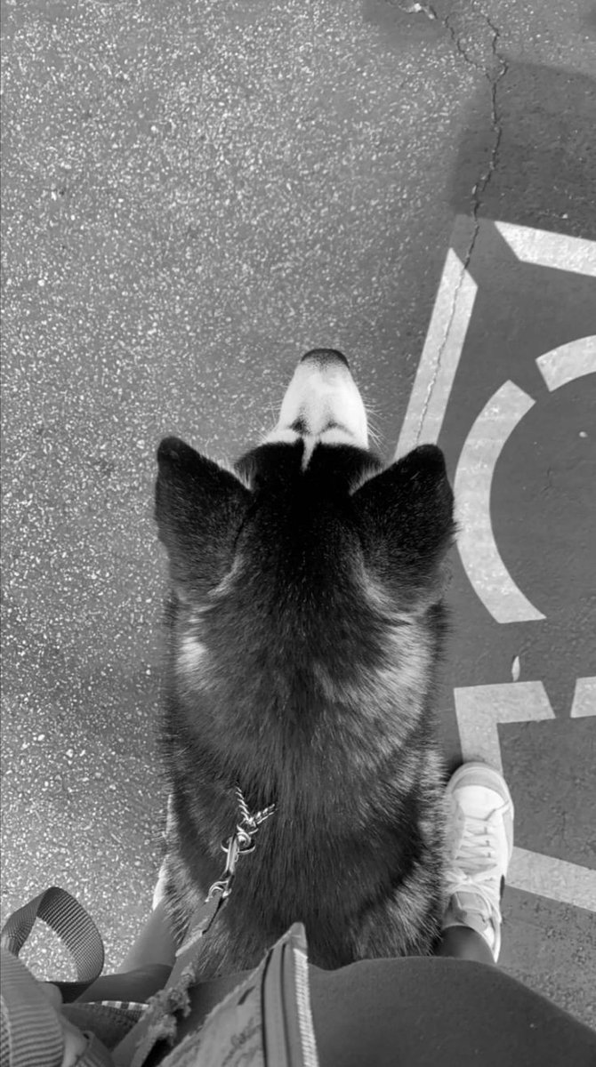 Kathe_DeBarnes's tweet image. A fun ride!✨🖤