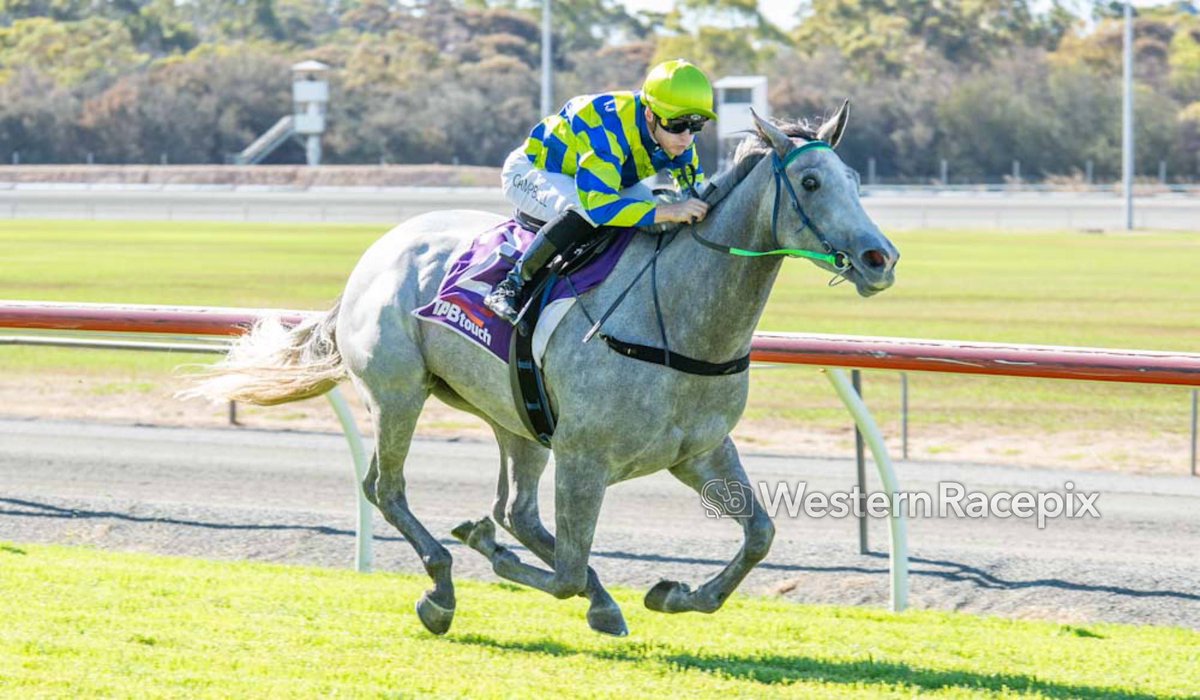 Race to race double for Luke Campbell! STAR POWER - Narrogin Thurs 21st March @NarroginRacing #WesternRacepix #WAracing More 📸 westernracepix.com