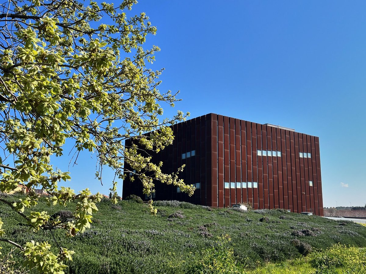 troyamuzesi's tweet photo. Baharın, yenilenmenin ve birliğin simgesi, ortak kültürel mirasımız olan #Nevruz Bayramınız kutlu olsun. 🌸🌱🌿🌼

#TroyaMüzesi #museumoftroy #photography #troyamuseum #Bahar #spring #Türkiye #Çanakkale https://t.co/u8K1F44ZJO