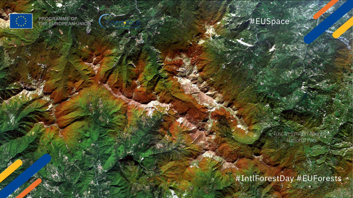 defis_eu's tweet photo. #IntlForestDay
🇪🇺 Forests act as invaluable havens for #biodiversity & carbon sinks
Read more on how the various components of the #EUSpace Programme contribute to preserving this invaluable resource 🌳
https://t.co/IfYmXm1Psg
⬇️#EUForests in 🇮🇹 as seen by #Sentinel2 https://t.co/N8xMG1PJxm