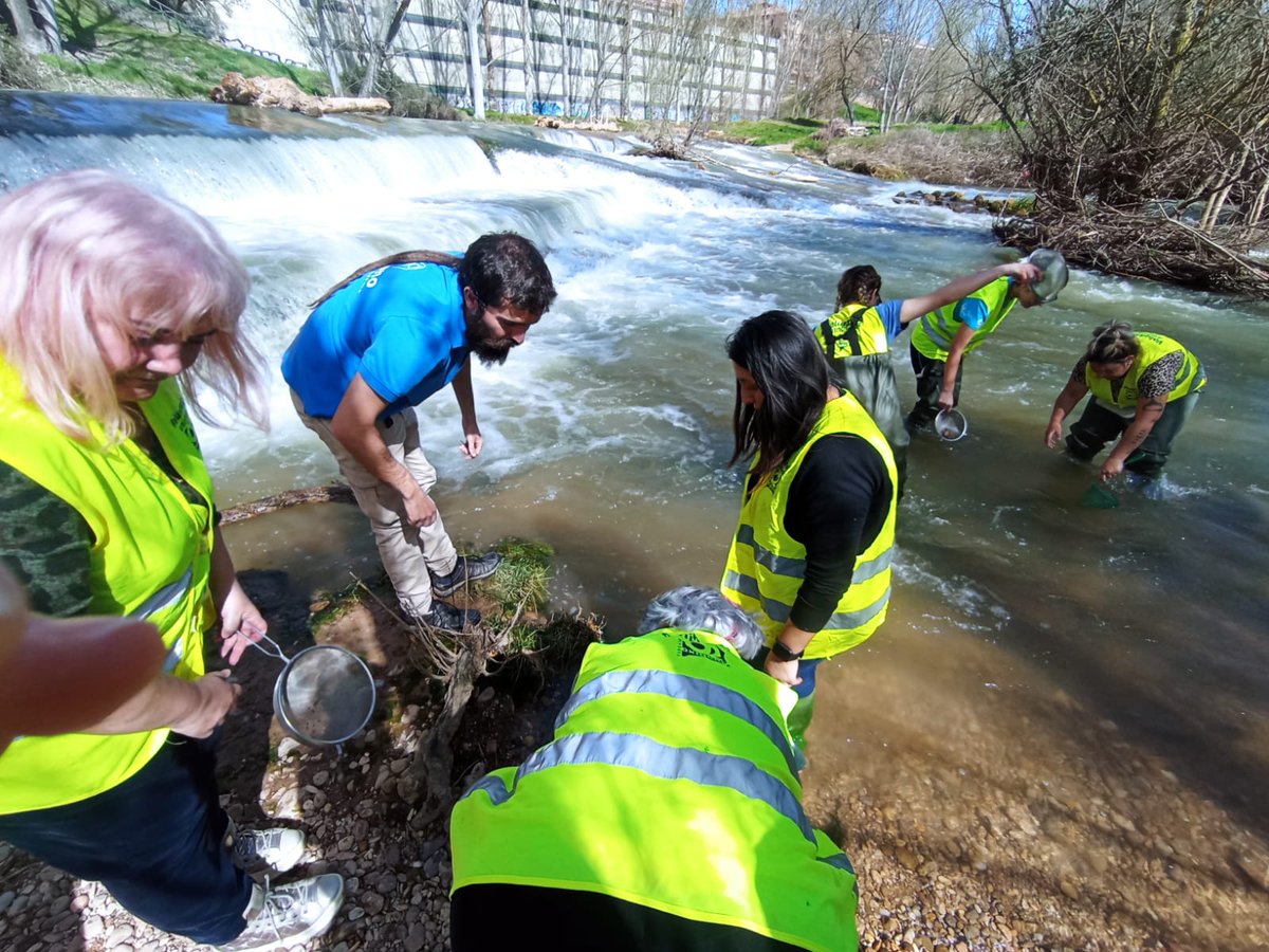 fundacionO2's tweet photo. #ArandadeDuero
#Burgos
Voluntariado ambiental en el río Arandilla, para ver la salud del río y limpieza de residuos con un grupo de mujeres de Santa Catalina con el Ayuntamiento de Aranda de Duero.
@mitecogob #csirios #MicroplasticosMacrobasura https://t.co/xMxygV6Z9m