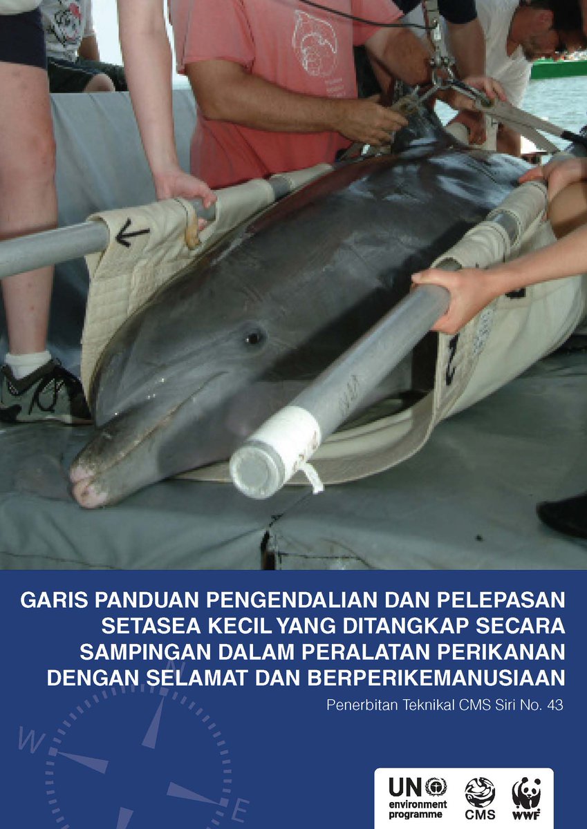 Thanks to the translation from @marecet the 'Guidelines for the Safe and Humane Handling and Release of Bycaught Small Cetaceans from Fishing Gear' are now also available in Malay 🙏. cms.int/en/publication…