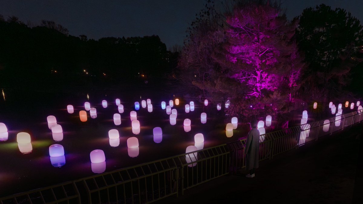 Each of the lamps on the Oike Lake’s surface floats autonomously. When a person stands still near a lamp, or when the wind blows a lamp, it shines brightly and produces a tone. ・ On view from March 23 at “teamLab Botanical Garden Osaka”. teamlab.art/e/botanicalgar…