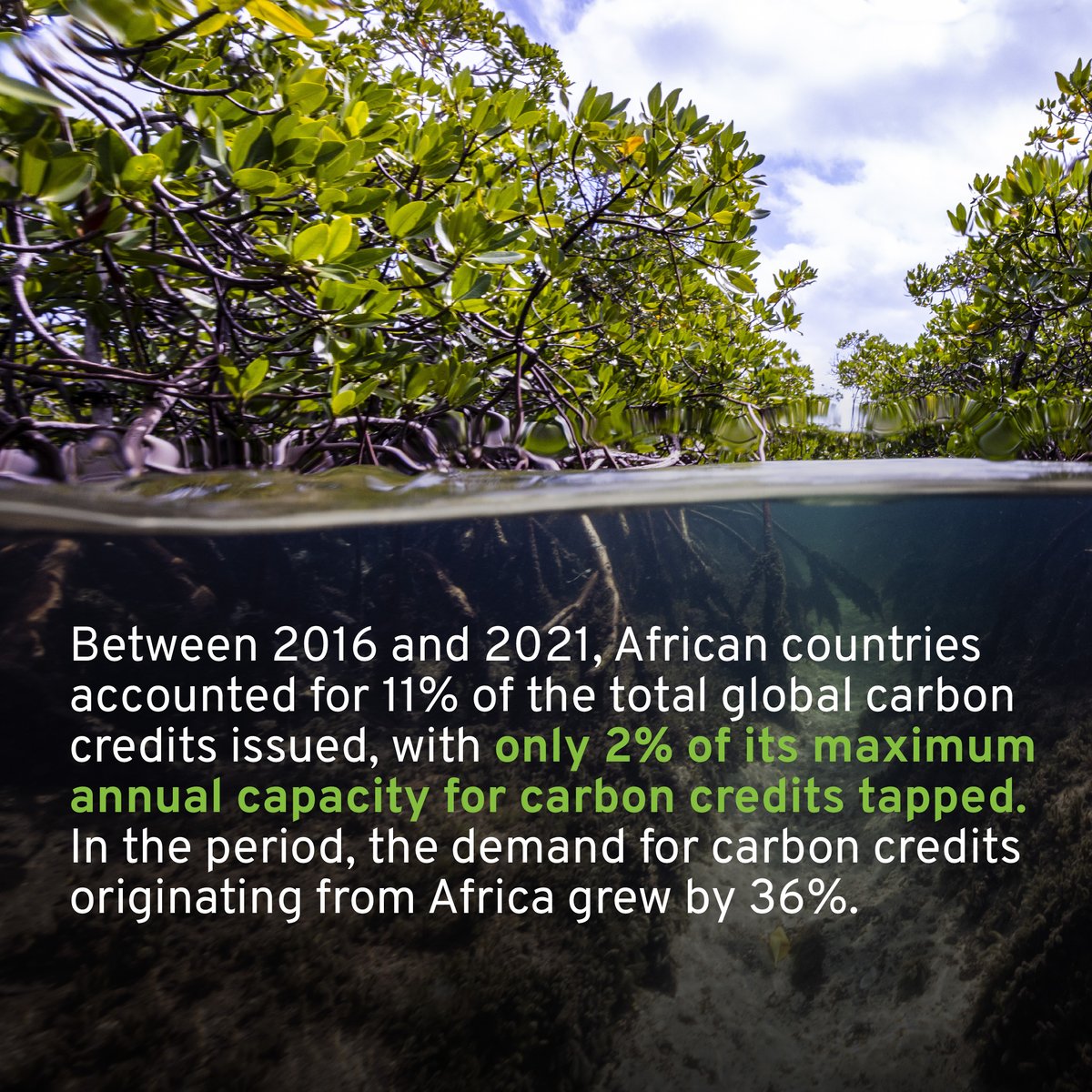 📌DYK

Between 2016 and 2021, African countries accounted for 11% of the total global carbon issued with only 2% of its maximum annual capacity for #carboncredits tapped. 

#Carbonmarketsdialogue #landrightsforum #carbonmarketske