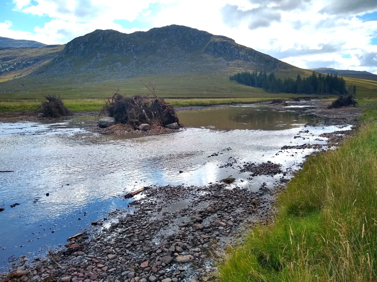 It's #WorldTreeDay Trees and forests are essential for river health but also create perfect #habitat for #vertebrae and #spawningfish when felled trees are positioned into water channels. Here is a recent project at #Glenshero where we placed over 100 trees into the Spey 🌲