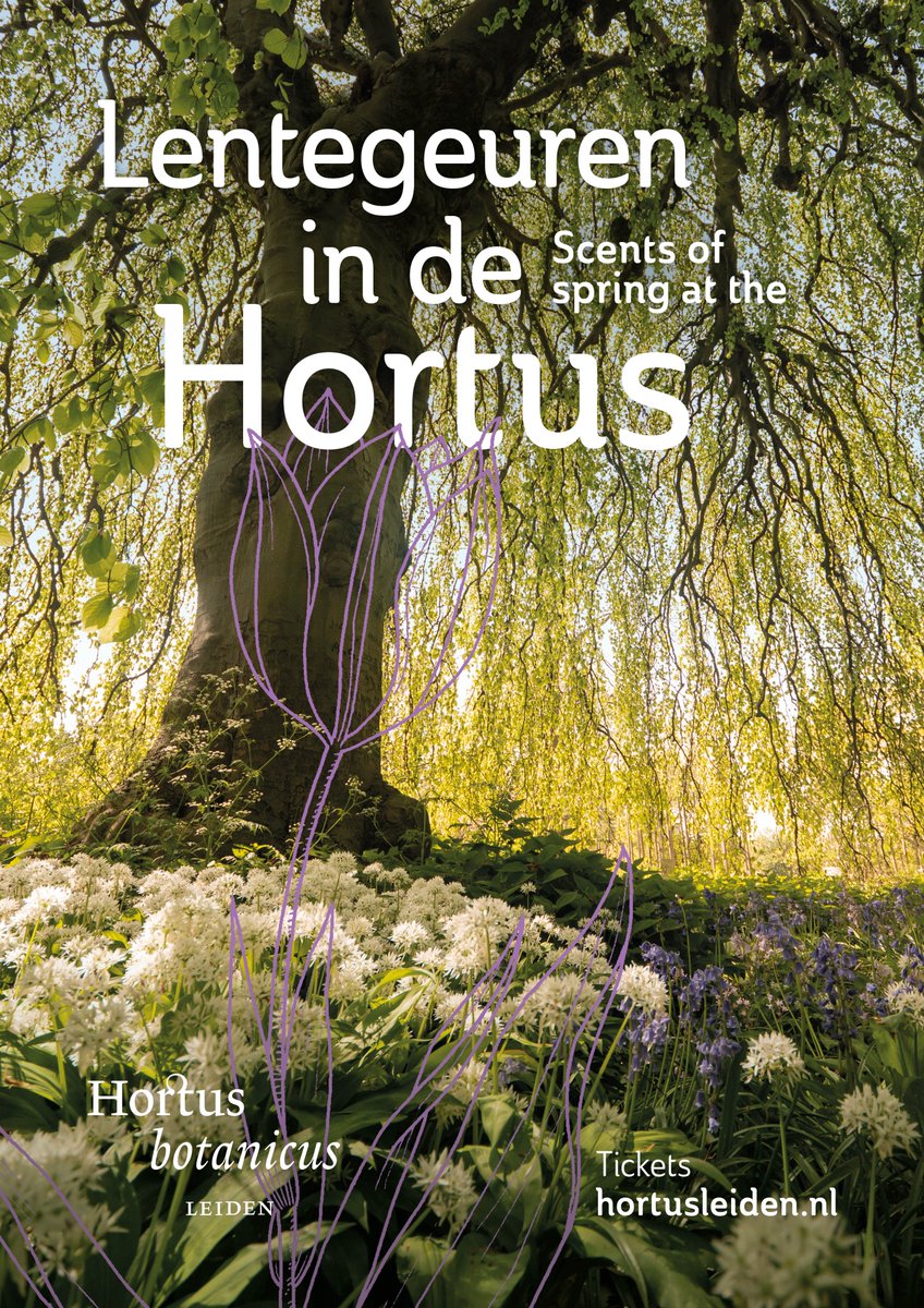 Hortus Leiden tweet media