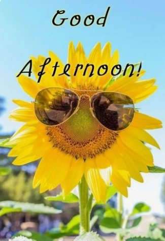 Good  Afternoon🌅
 X family ♥
#vunzigewoensdag