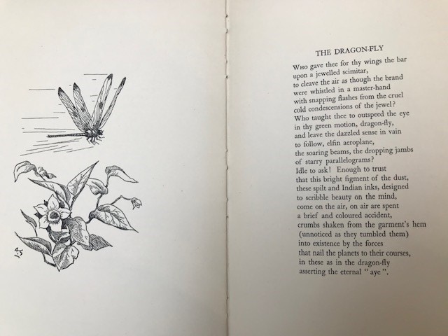 bgs_library's tweet photo. On World Poetry Day & as we enter in to spring, here is a lovely poem from @ArchivesBgs from OB Humbert Wolfe. Taken from his book Stings and Wings, The Dragon-Fly. #bradfordgrammar #BGS_OBs #springtime https://t.co/KIXzg2INL4
