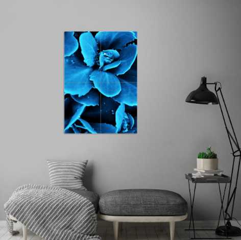 High-quality @displate metal posters with Succulent raindrops blue photography by ARTbyJWP displate.com/displate/35274… ✓ Printed on Metal ✓ Easy Magnet Mounting ✓ Worldwide Shipping shop online #wallartforsale #giftideas #wallart #poster #displate