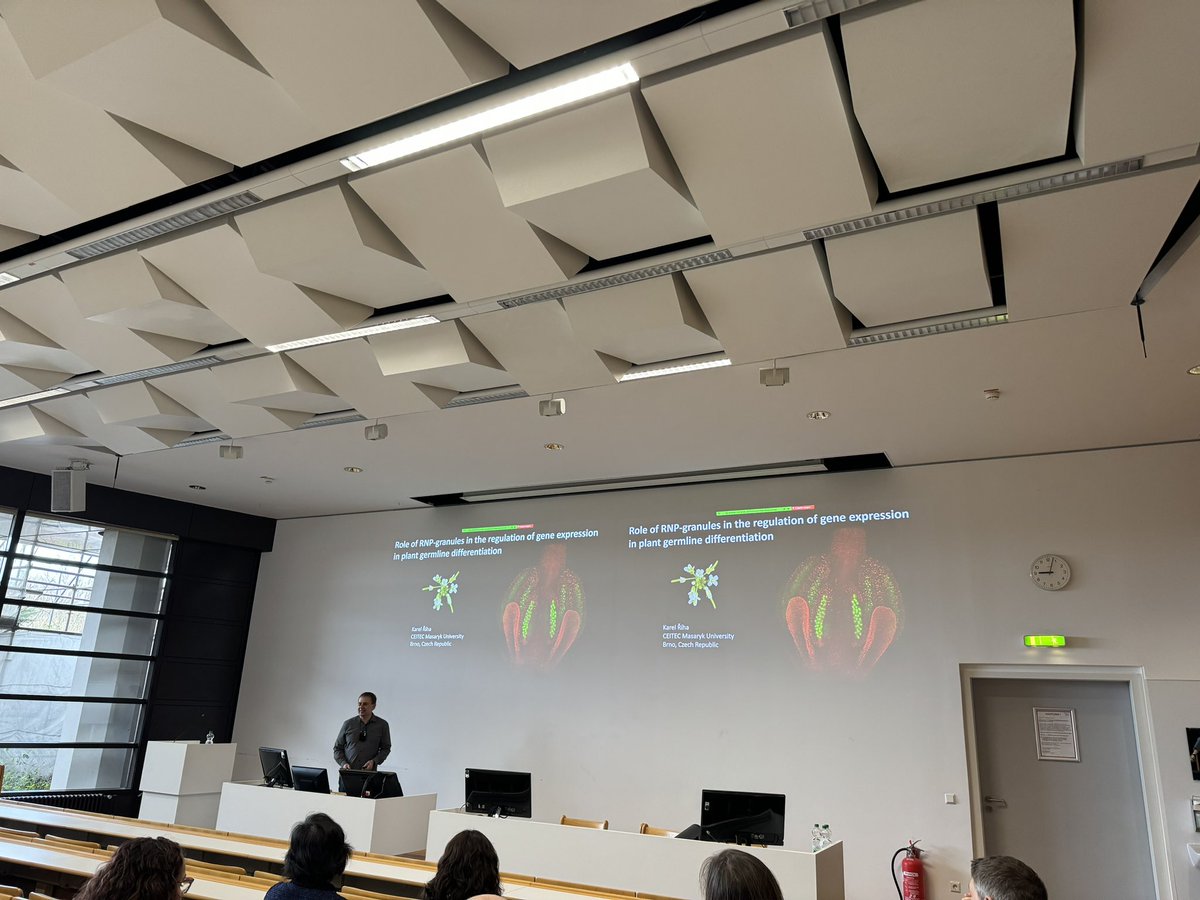 The first speaker of the second day of #CRC1101 symposium is @karlriha who will talk about the role of RNA-protein biocondensates during plant germline differentiation