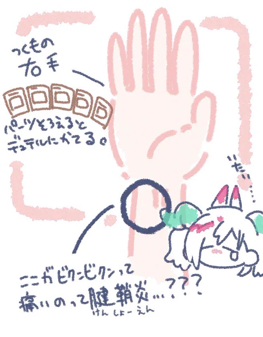 腱鞘炎になった事ないんですけど、腱鞘炎ってどこが痛くなったら腱鞘炎ですか…?
右も左もここがビクンビクンしてて痛くて泣いてる 