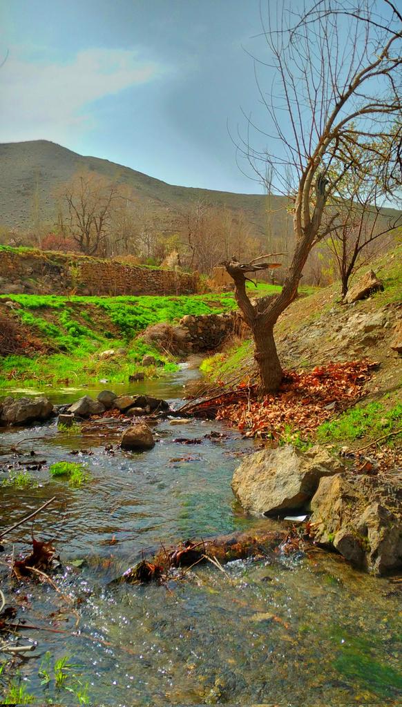 SIMA🇮🇷 tweet media