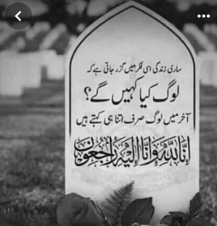 Amna Bajwa (@amnabajwa1124) on Twitter photo 