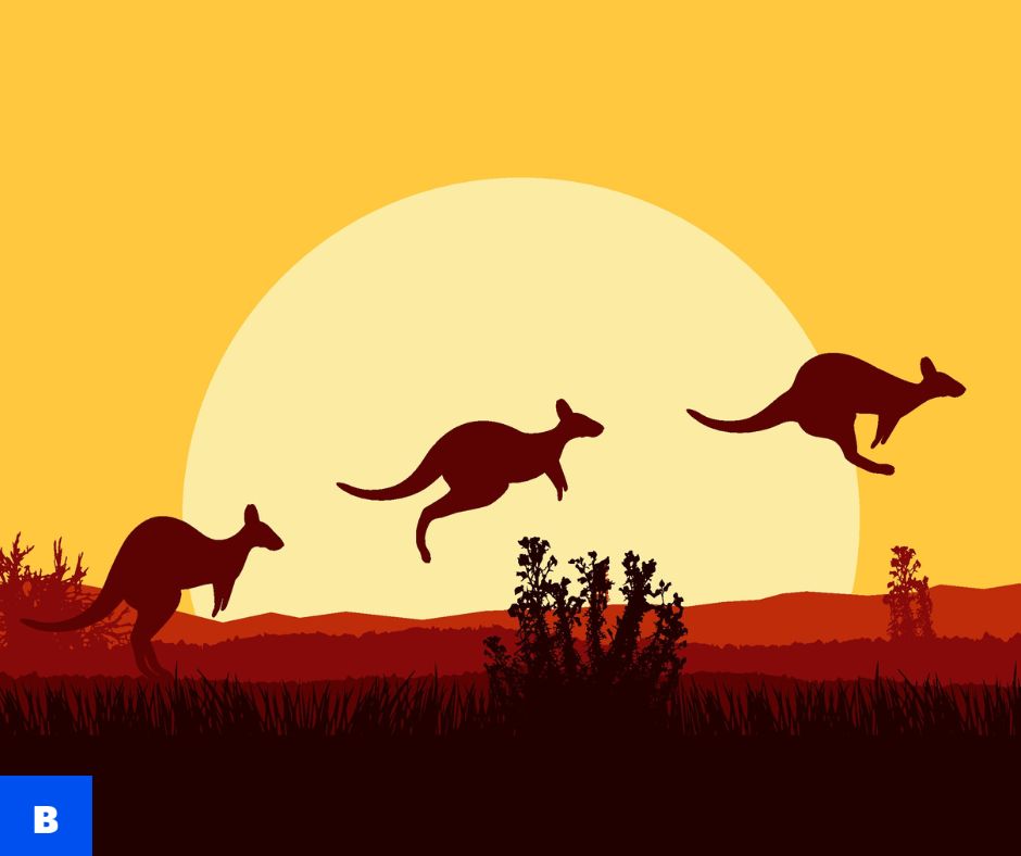 🦘Fun Fact: Kangaroos are emblematic of Australian culture, featuring prominently in Indigenous Australian mythology and art. They symbolize resilience, strength, and adaptability, mirroring the spirit of Australia's diverse landscape and its people.
#Kangaroos #AustralianCulture