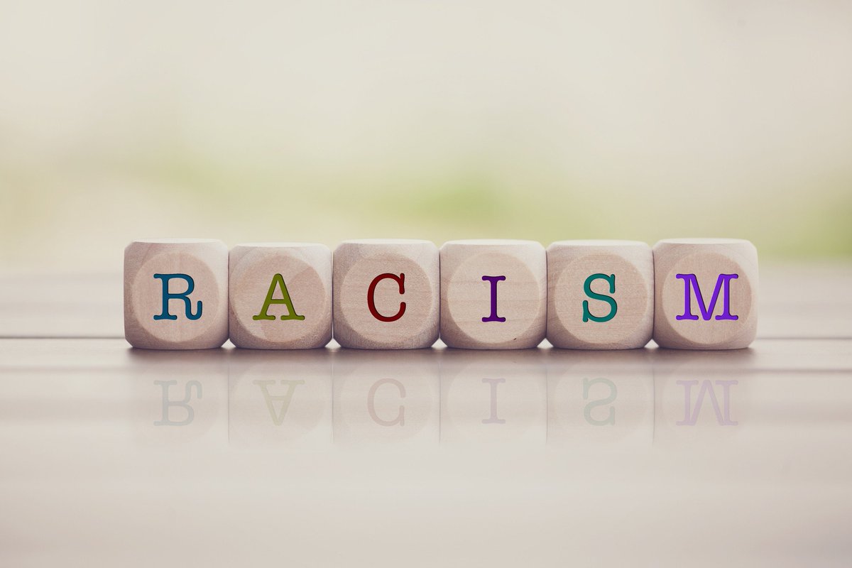 Institutional Racism. At yesterday's Home Affairs Select Committee a Fire Chief accepted an independent report that stated her fire service was institutionally racist yet she could not provide any evidence of racism. This got me thinking about racism and the whole diversity