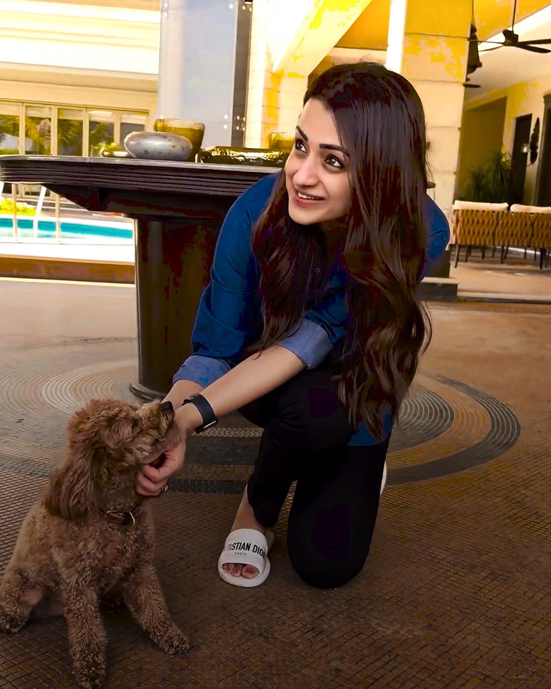 GJLhqLHWAAAJPOo?format=jpg&name=large