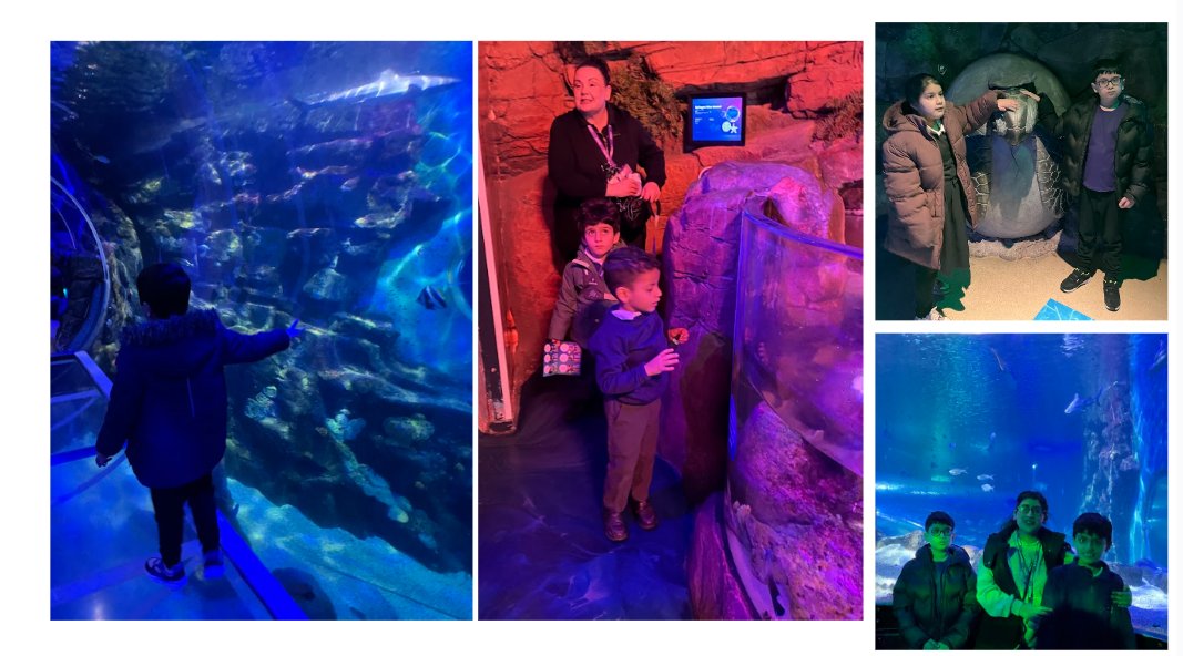 RB had an amazing time at the @sealifebham yesterday. The children loved seeing the sea creatures that they had been learning about in class. Thanks to all the parents who came to support. @ElliotFndtn