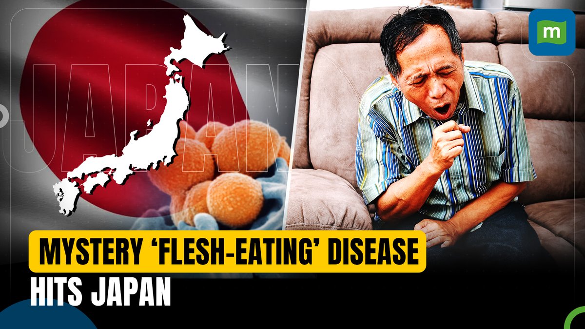 moneycontrolcom's tweet photo. Is Japan facing a resurgence of Covid-like era with mystery flesh-eating disease? 🇯🇵🦠
Watch⏬
https://t.co/jctFk2xY5n
#Japan #Covid #FleshEating #Disease @PayalTS13 https://t.co/wDVAMjDwEK
