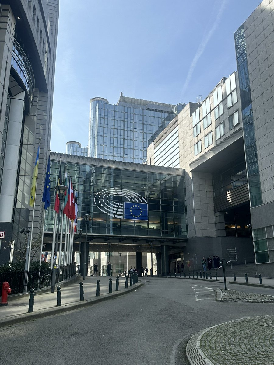 ⚡️Today we are at the European Parliament ready to launch our 'Equitable, Diverse, and Inclusive Cancer Care in Europe' Policy Paper Click this link 👉 europeanparliament.webex.com/europeanparlia… to watch the live stream starting from 11:00 CET!