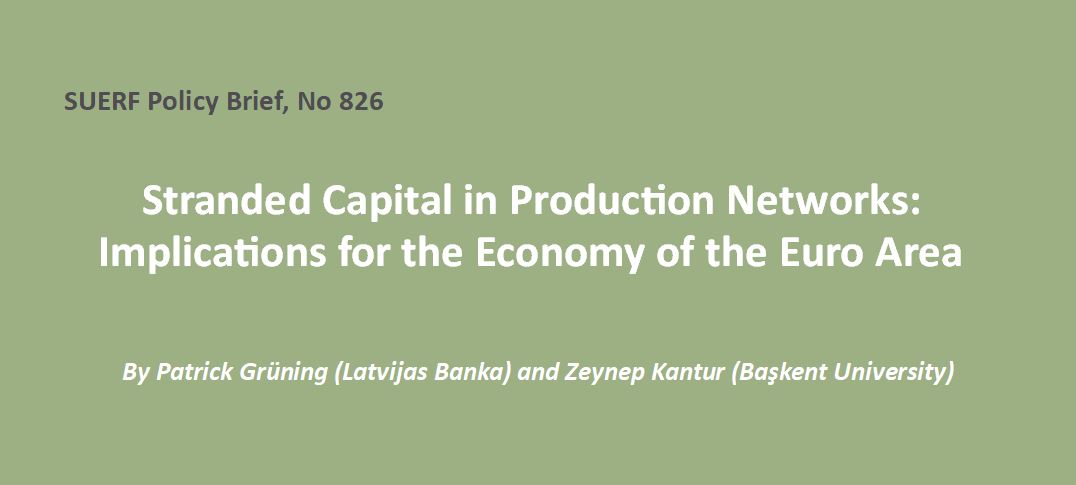 #SUERFpolicybrief “Stranded Capital in Production Networks: Implications for the Economy of the Euro Area” by Patrick Grüning (@LatvijasBanka) & Zeynep Kantur (@baskentunv) tinyurl.com/36ujm8vs

#CapitalUtilization #StrandedAssets #ClimateChange #FiscalPolicy #MonetaryPolicy