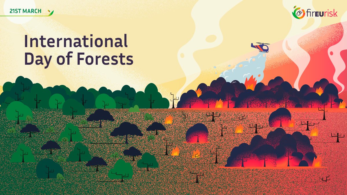 Majestic forests burnt to a crisp are a heartbreaking sight🔥💔

🌳🌲On this #InternationalDayofForests, let’s not forget the importance of researching new #wildfire management strategies to protect the valuable forest areas we have in #EU.