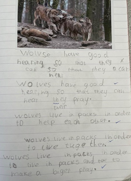 WhitewaysY2's tweet photo. In Year 2, Miss Sliwinska's class have been learning about wolves for the last couple of weeks. We have learnt all about them to create a leaflet. Here’s our learning journey! https://t.co/aCKpXeWcYz
