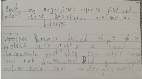 WhitewaysY2's tweet photo. In Year 2, Miss Sliwinska's class have been learning about wolves for the last couple of weeks. We have learnt all about them to create a leaflet. Here’s our learning journey! https://t.co/aCKpXeWcYz