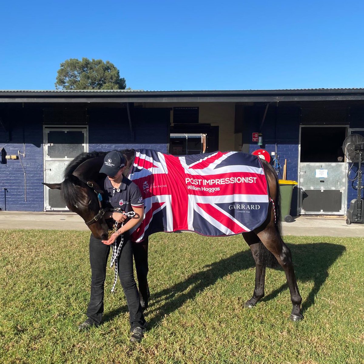 POST IMPRESSIONIST runs in Gr.3 N E Manion Cup in Sydney this Saturday for @WilliamHaggas & Australian owner Lloyd Williams. 🇬🇧🇦🇺 The trainer based in Newmarket won the race with YOUNG RASCAL in 2020. #TeamBritishRacing | @IsabellaPaul20 | @GarrardLondon