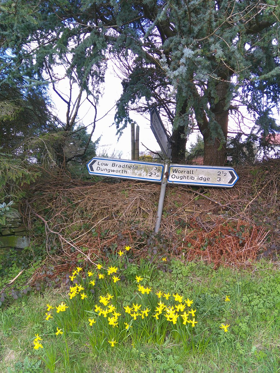 HelenRo88542779's tweet image. Hoorah it&apos;s Friday 🥳, have a great day everyone. A resting #FingerpostFriday and a stone featuring Robin Hood&apos;s arrow🏹in #Sheffield. #SpottedOnMyWalk