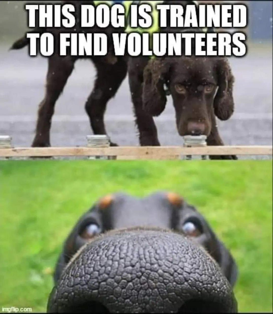 Guildford parkrun (@guildfrdparkrun) on Twitter photo We still need to fill some important roles for Saturday’s parkrun to go ahead 😶 - can you help?
We need two people to give out finish tokens, a number checker and more marshals.
Please email guildford@parkrun.com to save parkrun! 😊 We still need to fill some important roles for Saturday’s parkrun to go ahead 😶 - can you help?
We need two people to give out finish tokens, a number checker and more marshals.
Please email guildford@parkrun.com to save parkrun! 😊