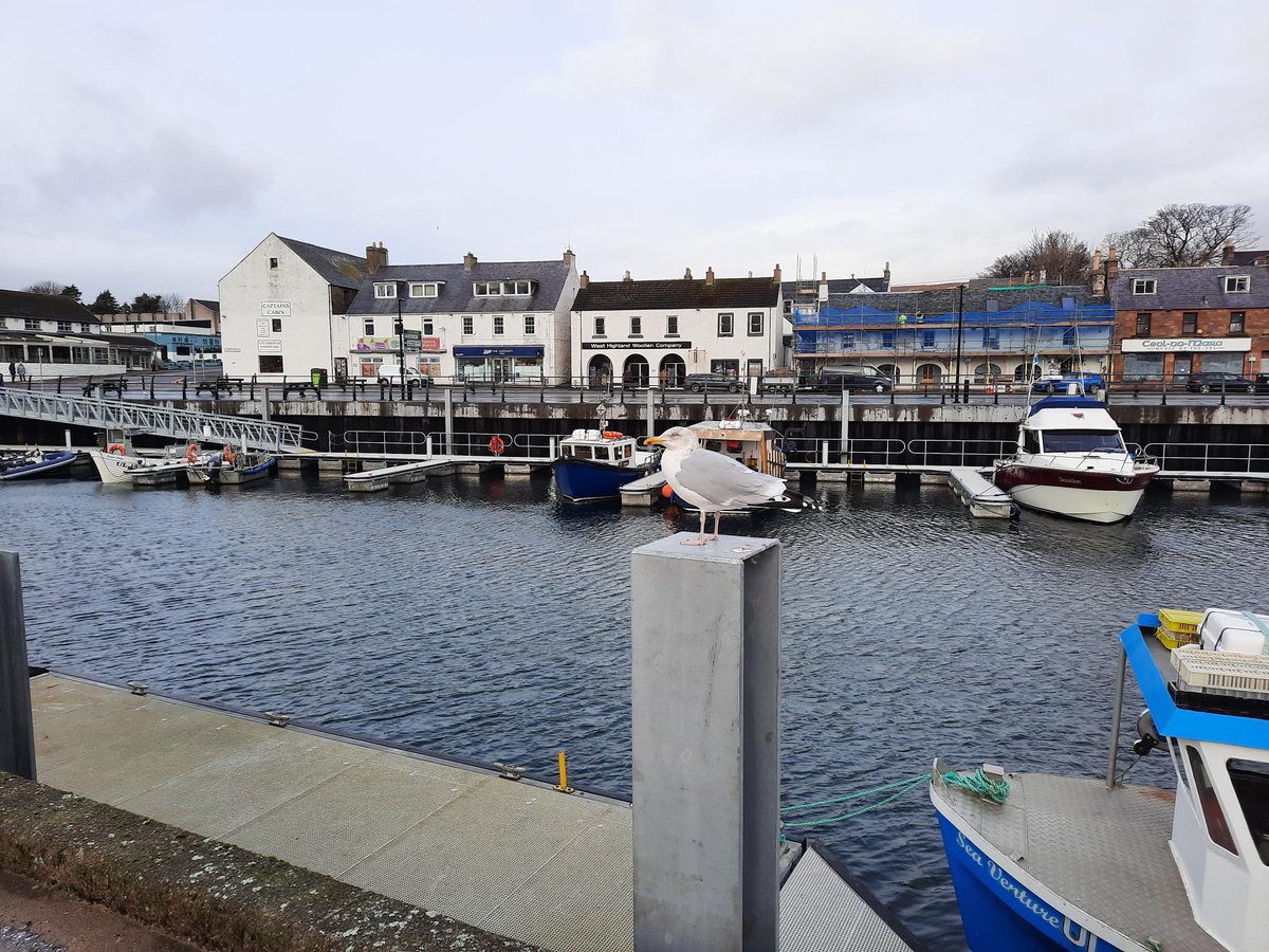 I think the technical term for today's weather is #blowingahoolie I took this picture a few days ago from the pier looking towards Quay Street & I suspect even the inner harbour is looking choppy this morning. It's definitely a @UllapoolB #bookshopday and we open at 9am