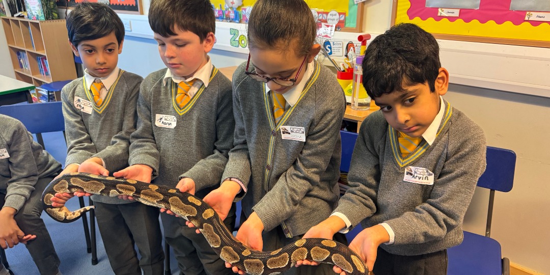 Earlier this week, Jungle Jonathan's Roadshow came to visit #StainesPrepYear3. He brought lots of different creepy crawlies which can be found in rainforests around the world. The children thoroughly enjoyed holding and stroking them, as well as asking lots of questions!