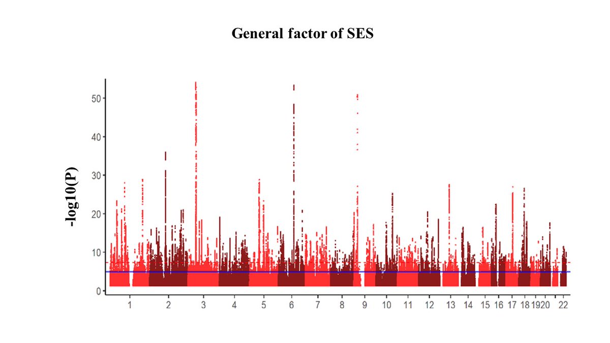 A new preprint led by @WDavidHill @CharleyASummer edin.ac/490qqIC Multivariate GWAS of SES for an effective sample size of n=893,604 Mendelian randomisation used to examine the role of SES on brain structure Follow the FAQs explaining the findings edin.ac/3PtQOU3