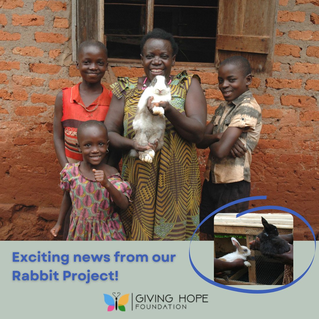 Our rabbit family grows!

During our monthly project supervision, we found that two host families welcomed new bunnies. One has two adorable month-old bunnies, while the other has tiny newborns, just about a week old!

Read more here: globalgiving.org/projects/give-…