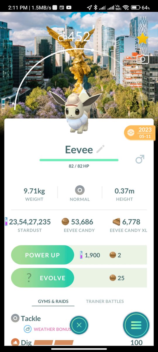 Mexico Background hat Eevee for sale! 

Dm me if interested.