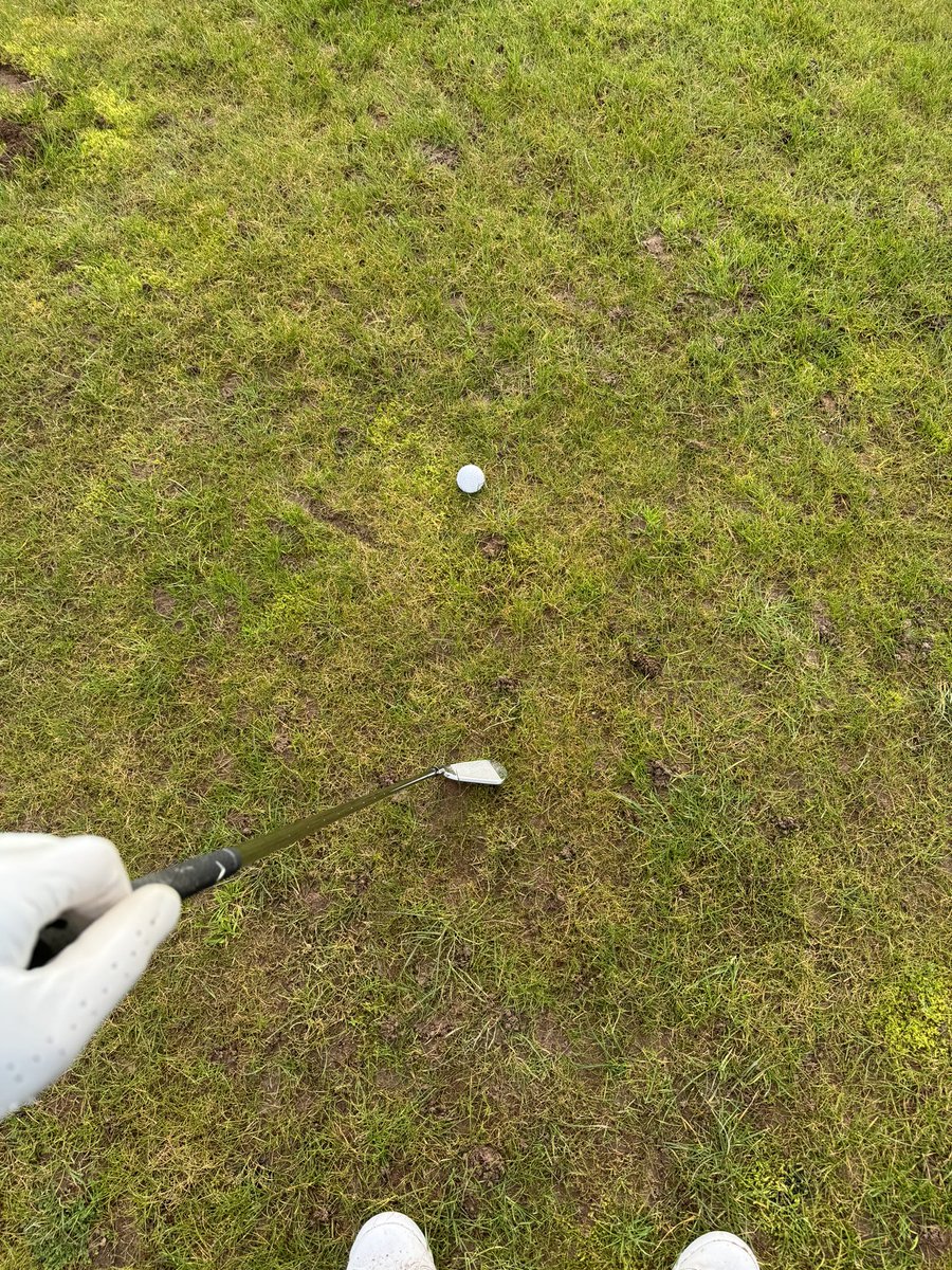 Cold Blooded Shiller tweet media