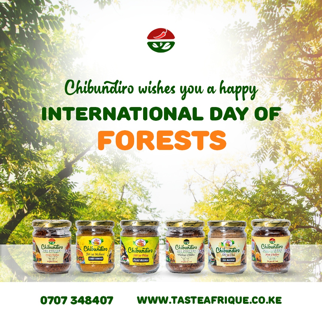 Happy international forests day! 🌲🌳 This is your sign to find ways to help conserve and restore our oxygen helpers  if you have never thought about it.

#sirinichibundiro #worldforestday