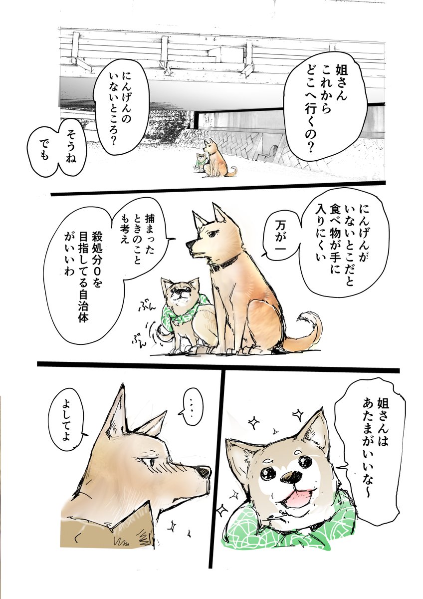 マメシバカフェにいられなくなった雌犬とそれを追いかける小さい柴犬の物語【3/8】 