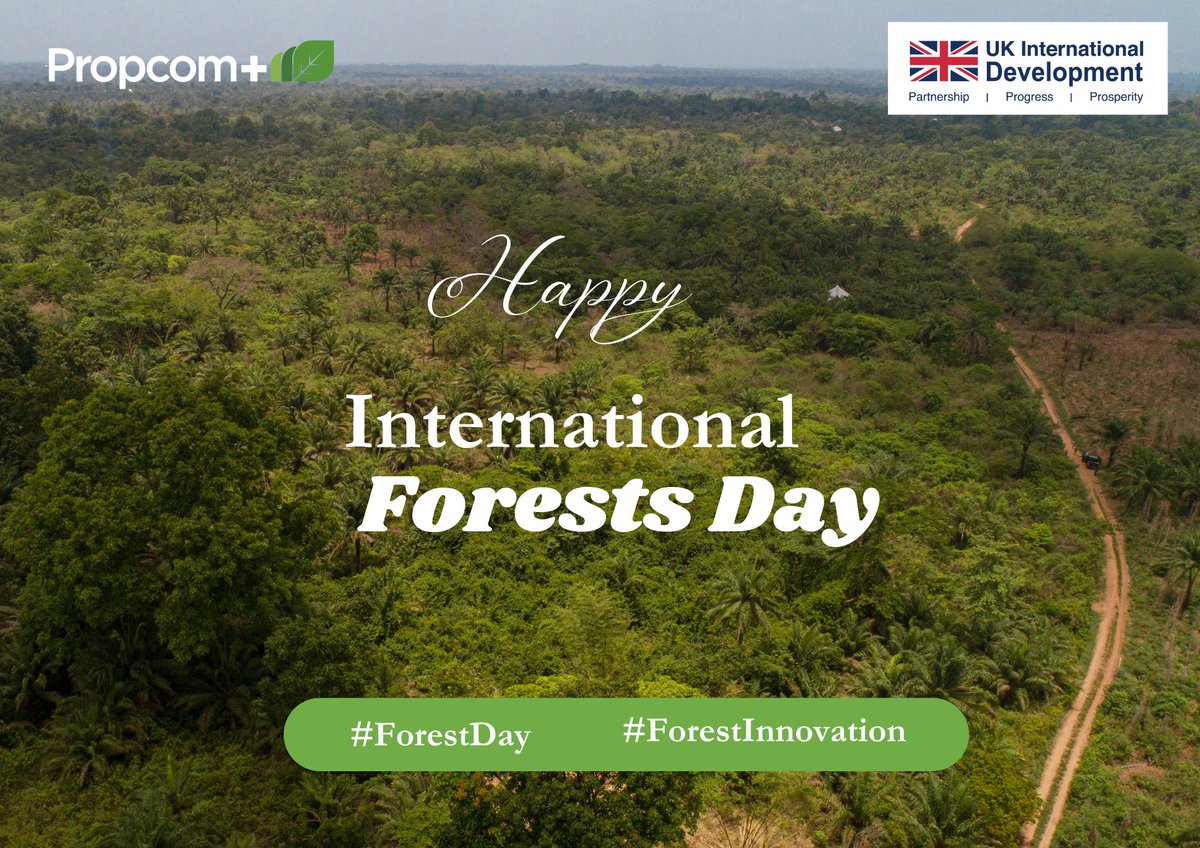 Did you know that in Nigeria, an area twice the size of London is lost every year, contributing significantly to Greenhouse Gas emissions? This year's #ForestDay theme is forests and innovation. What does forest innovation mean for you? #IntlForestDay with @UKinNigeria