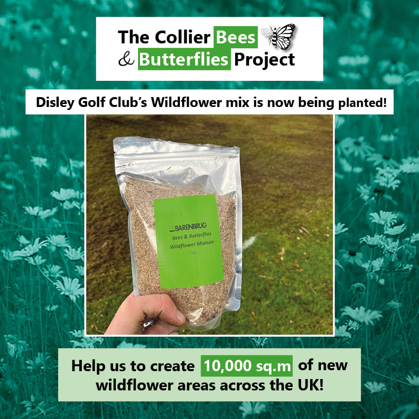 Disley Golf Club have been prepping and sowing their Bees and Butterflies Wildflower mix😁
<a href="/m20greenkeeper/">Michael Gibbons</a>