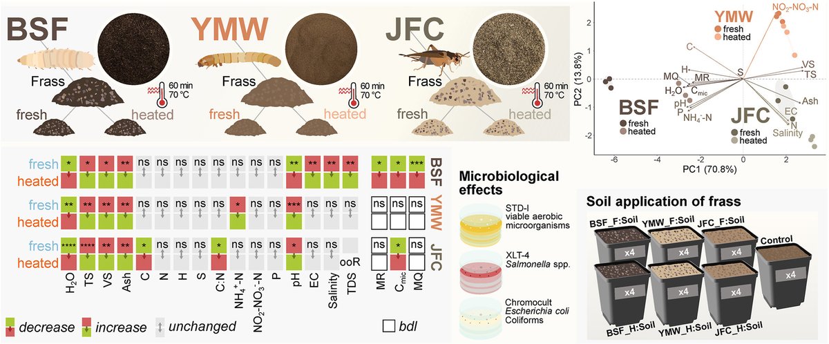 fromwastetofeed's tweet photo. New publication in the Journal of #Environmental #Management on species variation, heat treatment effects, and implications for soil application of #frass from three mass-reared #insect species. 🦗🦠🐛

https://t.co/gBcMrmzKVU https://t.co/SK1giWjZCQ