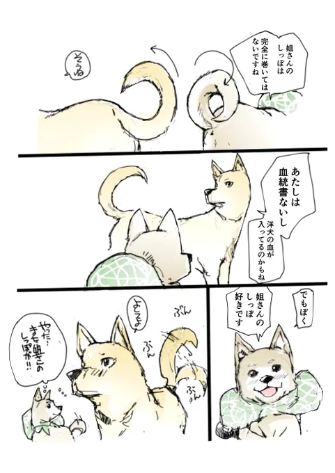 マメシバカフェにいられなくなった雌犬とそれを追いかける小さい柴犬の物語【4/8】 