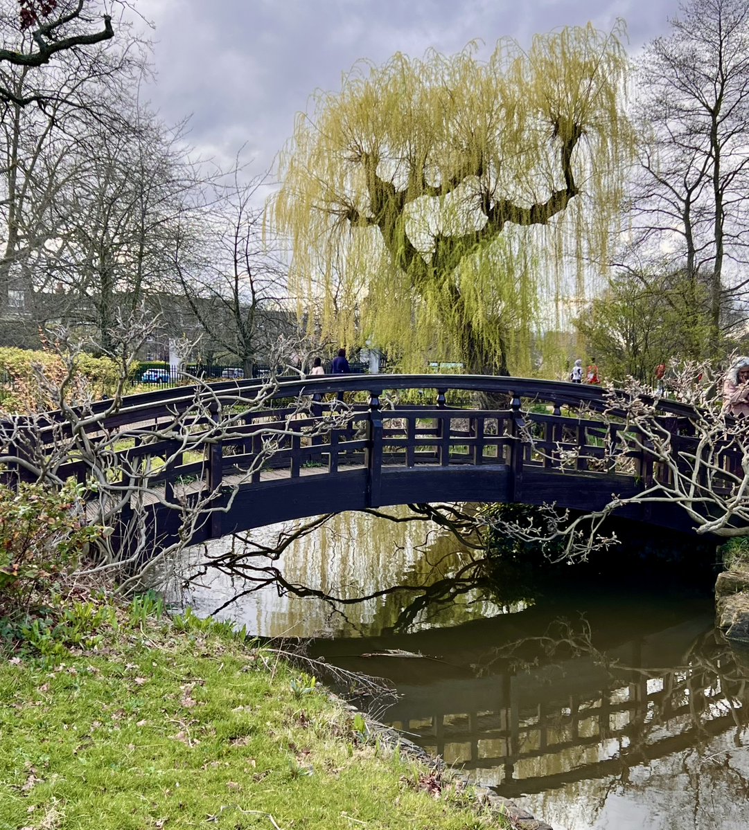 #bridgesThursday - in the formal 1930s garden within the older Regent's Park this little bridge with the willow behind it brings back memories of the patterns on old plates