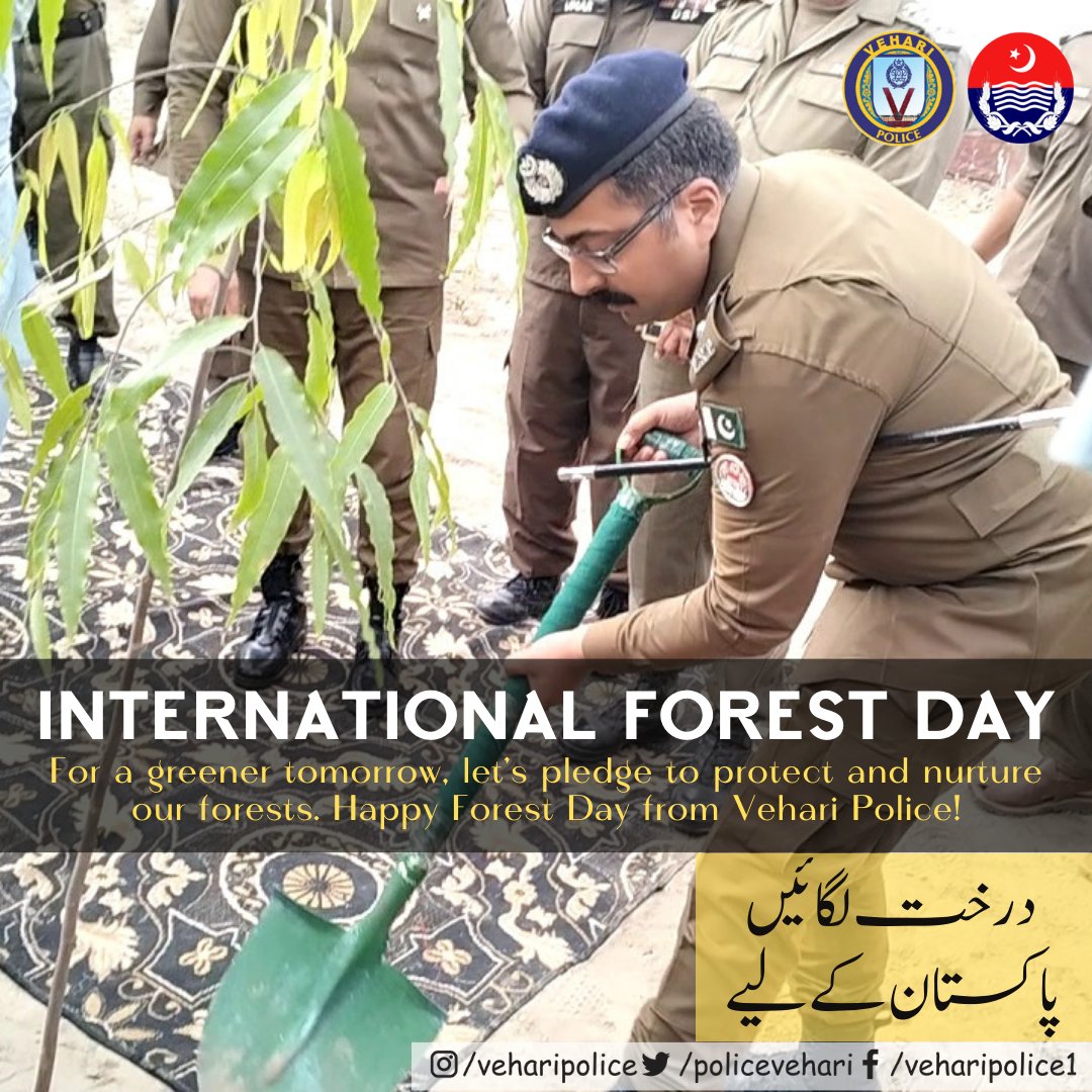 #ForestDay #InternationalDayOfForest #InternationalForestDay