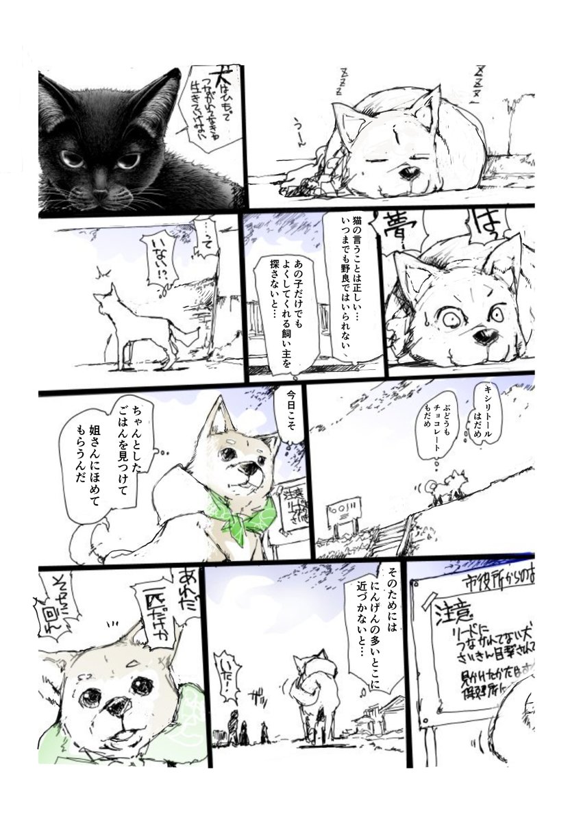 マメシバカフェにいられなくなった雌犬とそれを追いかける小さい柴犬の物語【5/8】
続きは↓でも【無料】で読めます!
20集: いぬまんが編 優し異世界へようこそ
https://t.co/4btwpCznrs 