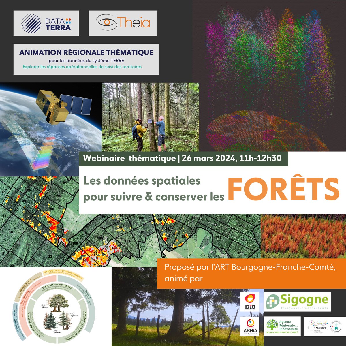 Aujourd'hui, c'est la Journée internationale des forêts 🌲 Cela tombe bien, puisque nous parlerons très bientôt avec @sigogne_bfc et @IDeO_BFC des données spatiales pour suivre et conserver les forêts ! 📅 26/03, 11h-12h30 ▶️ data.ubfc.fr/2024/02/09/web…
